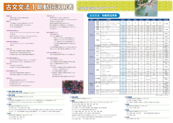 proceedx　学習ポスター10043古文　文法1　助動詞活用表送料無料　勉強部屋　教室　壁掛け　中学　高校