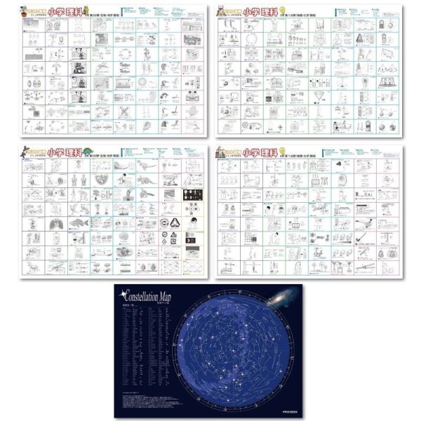 画像1: proceedx学習ポスター 小学理科図解特別セット　Ａ2サイズ　5点　四つ折り送付　日本製 (1)